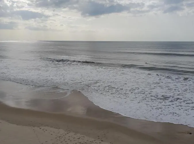 公寓 A Casinha Do Joao 阿尔科巴萨